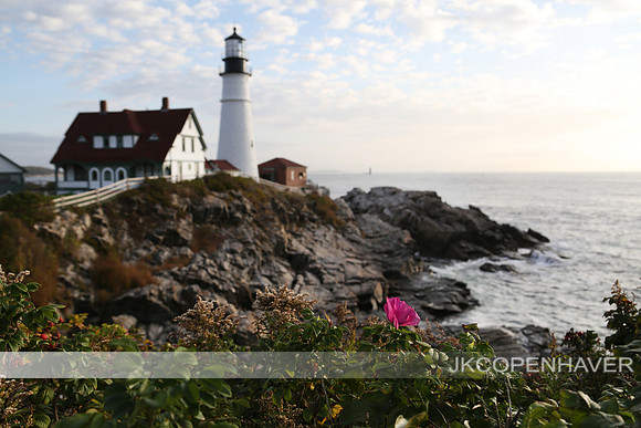 Maine Portland Lighthouse with Pink Flower