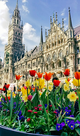 Munich Tulips City Square Edited-