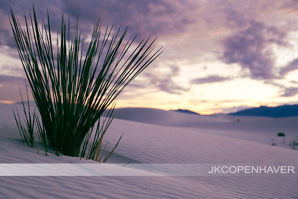 Purple Sands