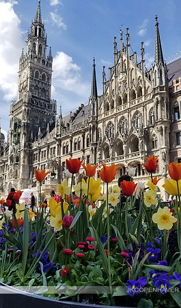 German Munich Tulips and City Square
