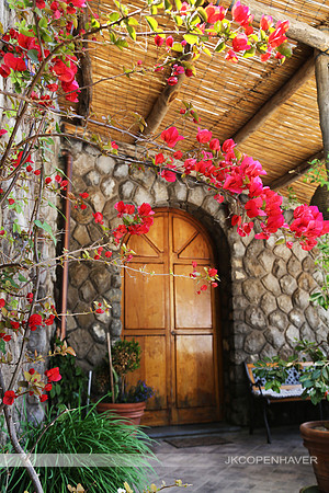 Italy Brown Arched Door and Flowers LF0B8460