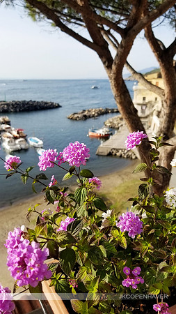 Italian Coast with Flowers from Balcony