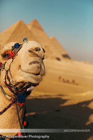Egypt creative-2556