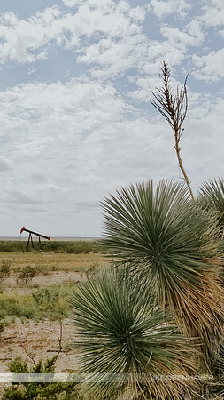 Texas Landscape