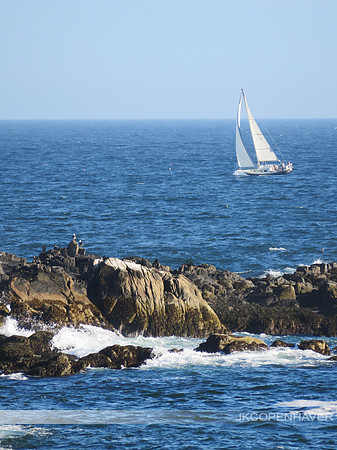 Maine Sailboat and Rocks Vert