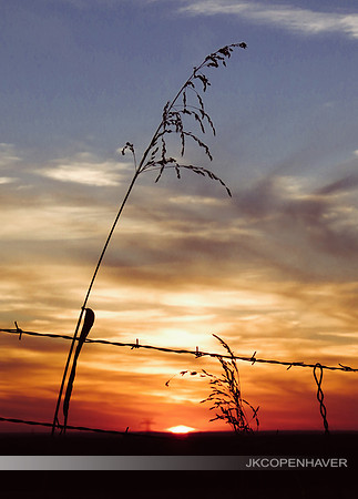 Texas Sunset Wire-
