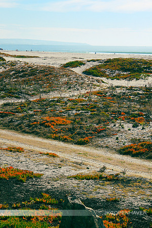 San Diego Winter Shore