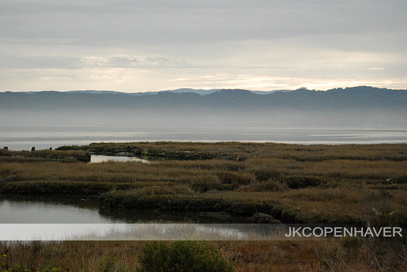 Humboldt Marsh Haze