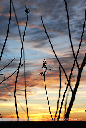Texas Sunset