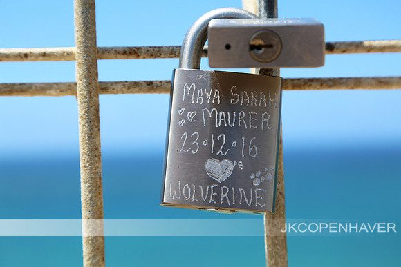Puppy Love Lock
