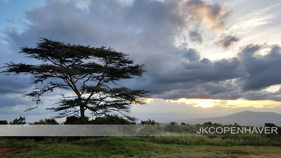 Kenyan Nature