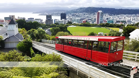 Love in Wellington