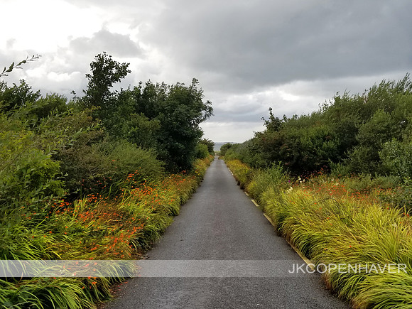 Irish Road