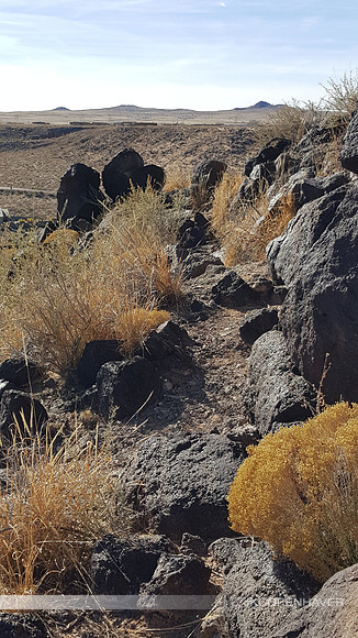 New Mexico Volcanoes
