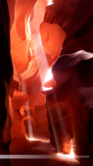 Antelope Sunbeams