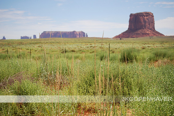 Monument Valley Field