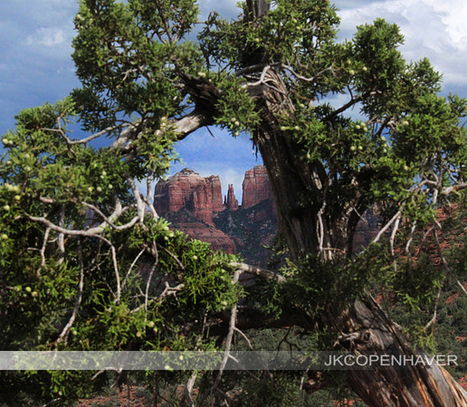 Cedar Circle