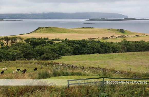Scotland Landscape with Water and Sheep GOOD