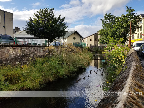 Scotland Oben Canal with Ducks