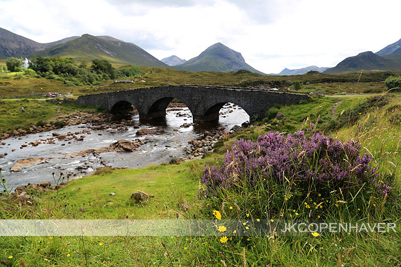 Scotland Stonebridge with Purple