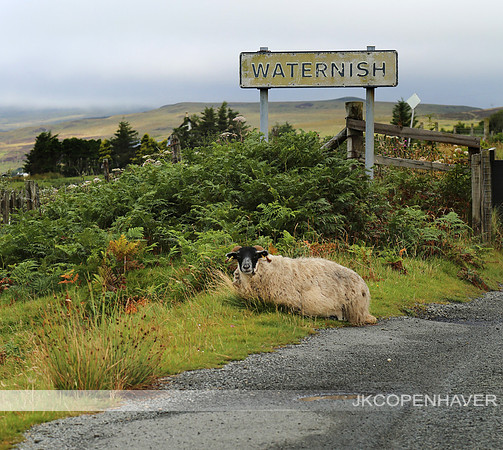 Scotland Town Sign Lazy Greeter