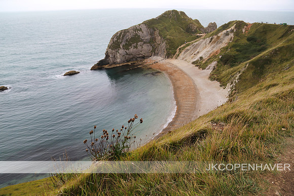 England Durdle Door Coast with Reeds