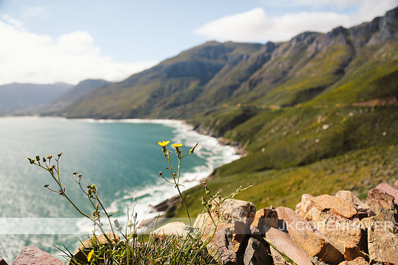 Cape Town Landscapes-8275