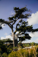 Cape Town Landscapes-8337