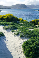 Cape Town Landscapes-8406