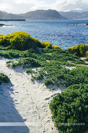 Cape Town Landscapes-8406