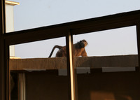 Namibia Animals-8570