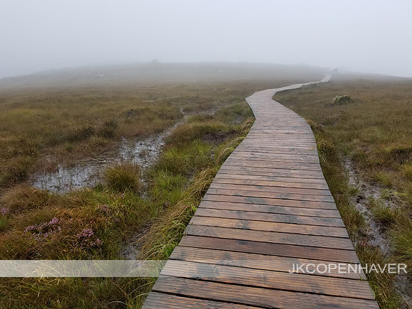 Ireland Connemara Foggy Marsh Wooden Path