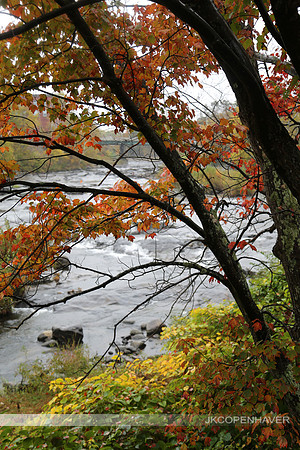 East NH Covered Bridge Tree Orange Leaves