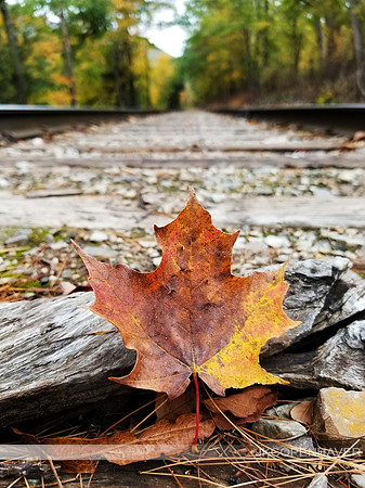 East NH Railroad Leaf Prop - GREAT