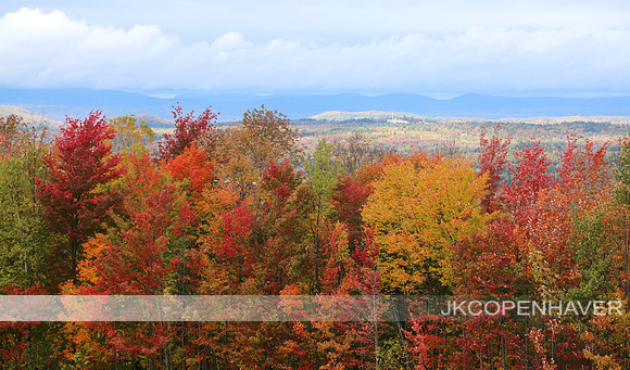 East NH Skittles Forest - NICE