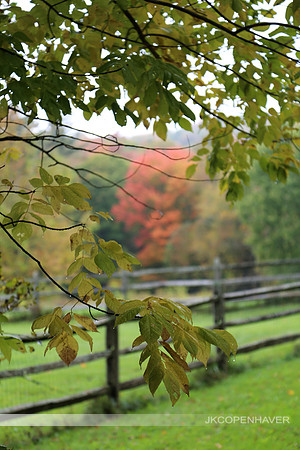 East NH Trees and Fence
