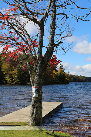 East NY ADK Pier and Tree - good