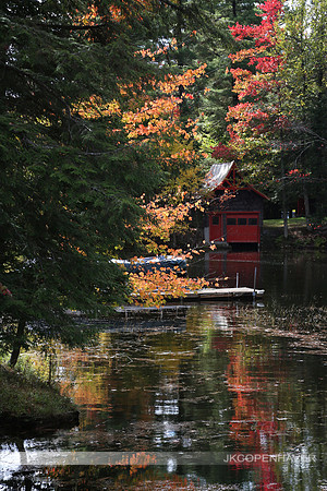 East NY ADK Sunlit Yellow CU LakeSMhouse