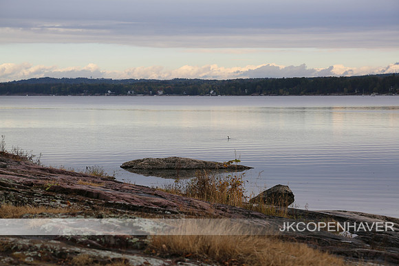 East Vermont Purple Lake w Rocks
