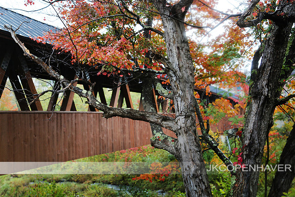 East Vermont Covered Bridge Tree Rain