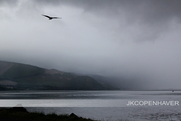 Oregon Gray Lagoon