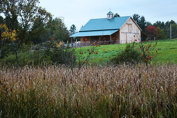 East NY ADK House from Afar - 1