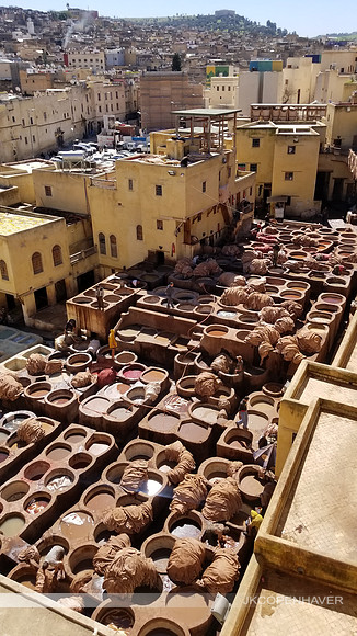 Tannery of Colors