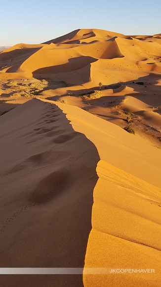 Sahara Dunes