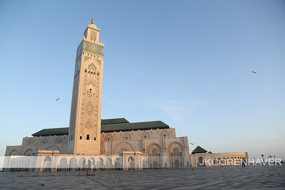Morning Mosque