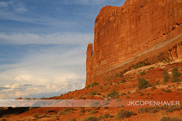 Red Rock Beauty