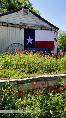 Texas Pride and Poppies