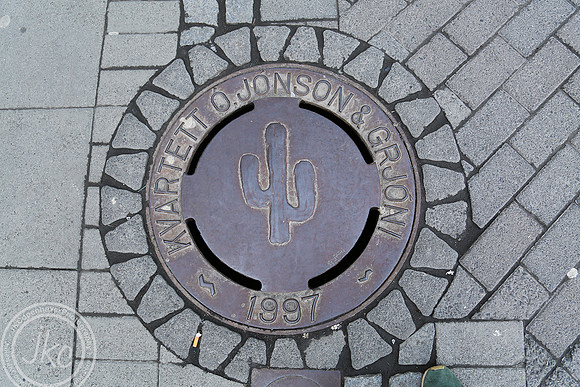 iceland cacti streetcover