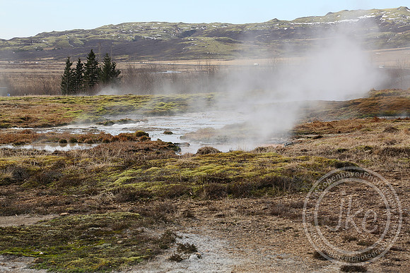 iceland steam-centered