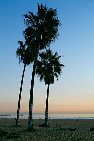 Venice Beach Sunset